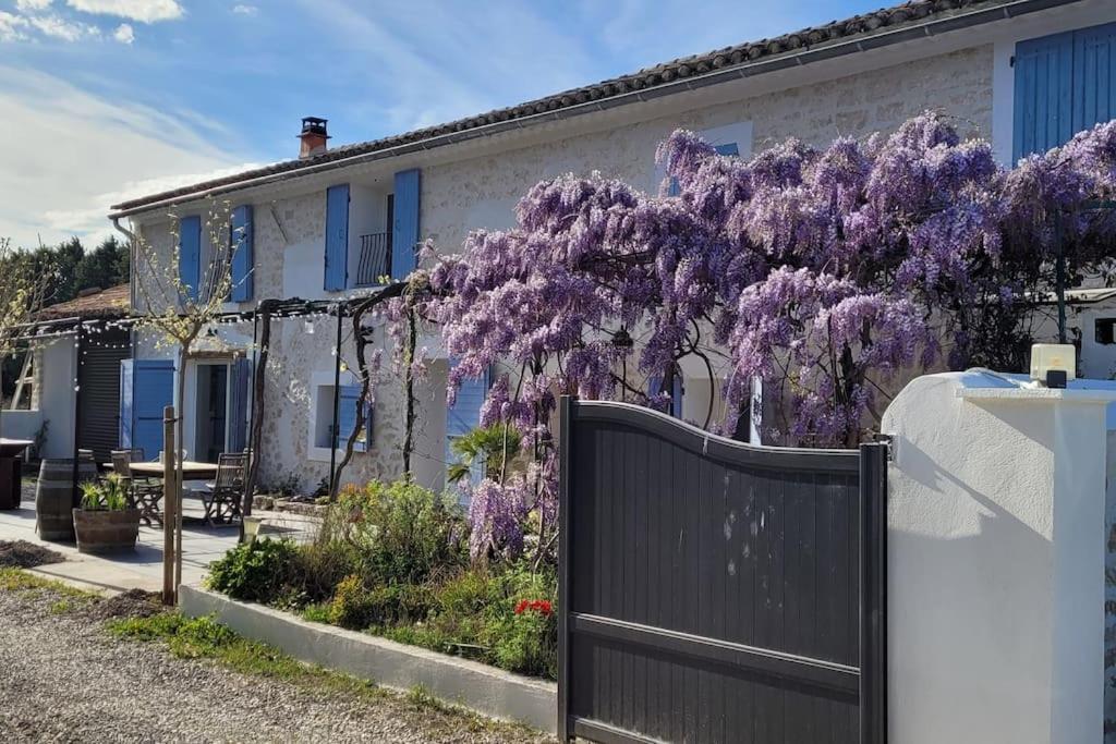Location Appartement Dans Mas Provencal Monteux Buitenkant foto